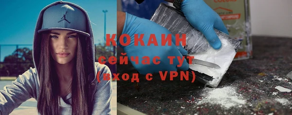 шишки Михайлов